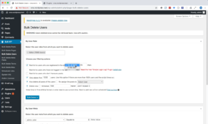 Delete Users by User Role in WordPress